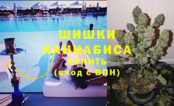 прущая мука Инсар