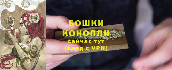 прущая мука Инсар