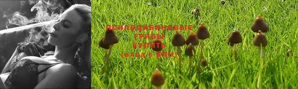 спайс Иннополис