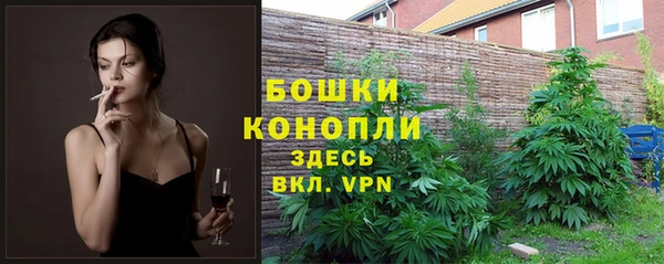 прущая мука Инсар